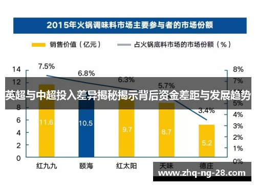 英超与中超投入差异揭秘揭示背后资金差距与发展趋势